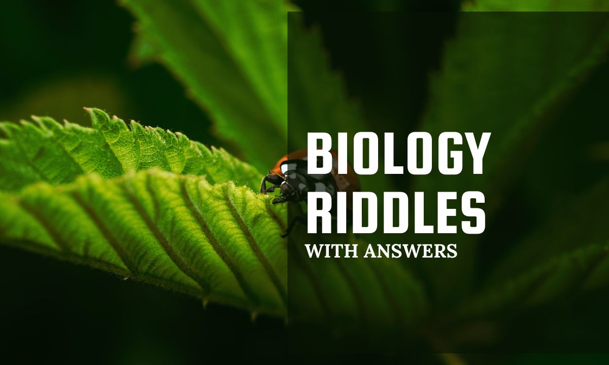 Biology Riddles With Answers for kids